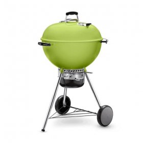 Weber-Stephen Products 107560 2 in. Charcoal Grill, Green
